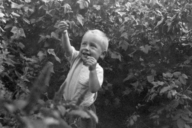 1950-� - "���� - ����" �� �����