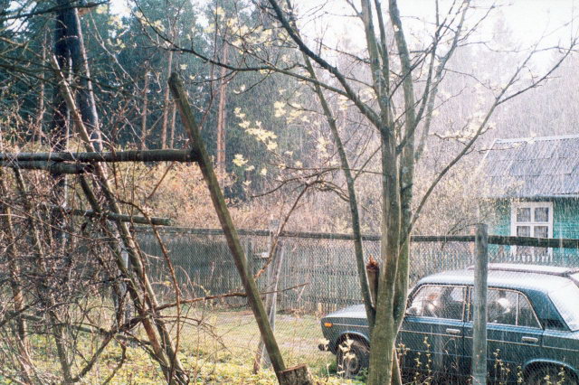 2003 - "�������� ������"