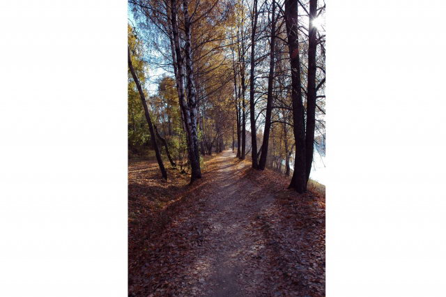 12.10.2005 - "������� �����"