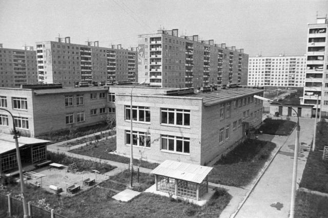 ��.1975 - ��� � ���� ���������� �. 51