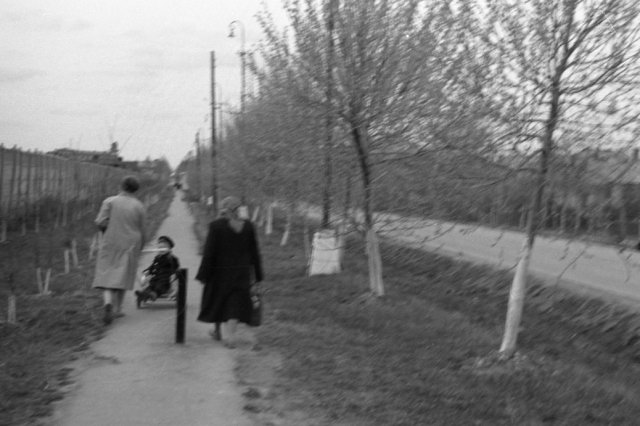 1962 - ����� ������������