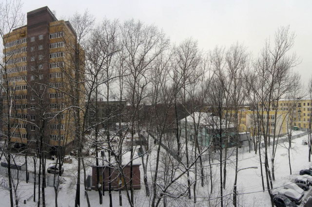 11.02.2009 - ��� � ���� ������������ 11 �� ����������� � ������� ��� �8