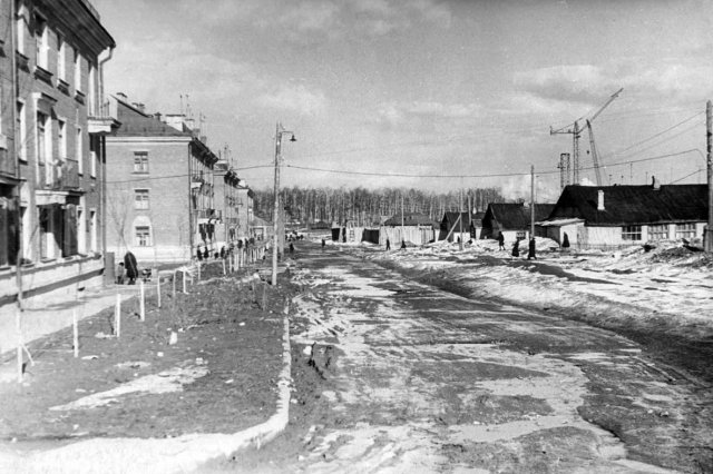 1956 - ��. �������������