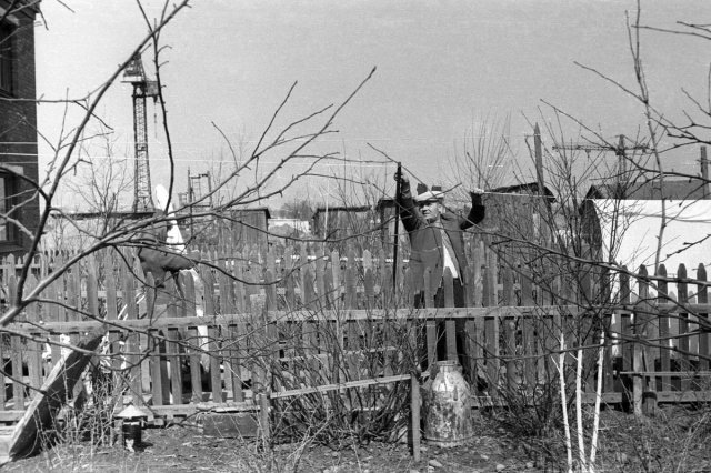 ��.1965 - � ���� �������� 6