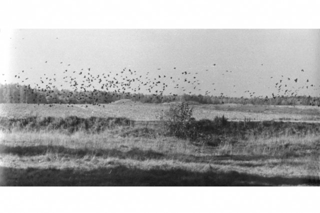 ��.1965 - �������� �� ���� ����� ������ ��������� "�����"
