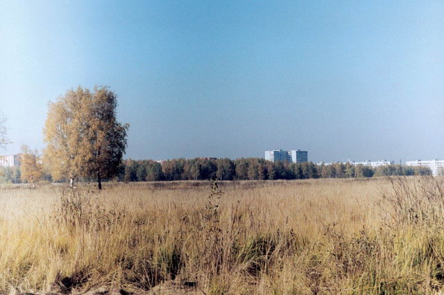 2002 - ������ ����