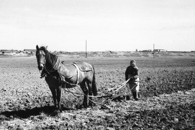 ��.1958 - ��� �� ������ � ������� ˸����� ����