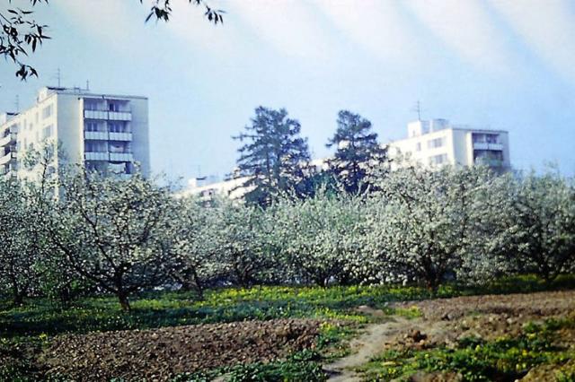1976 - ��������� ���