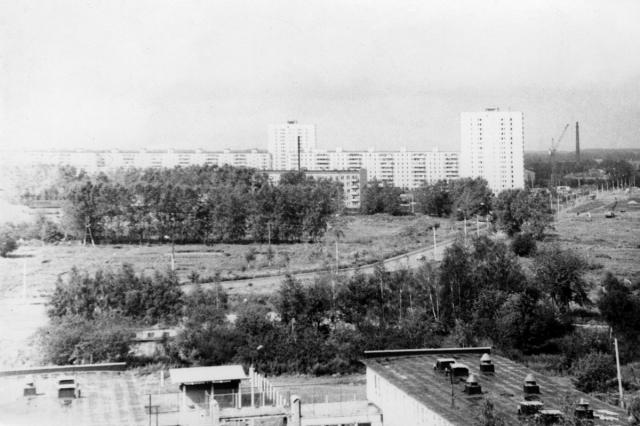 1981 - ��� �� �������� �������