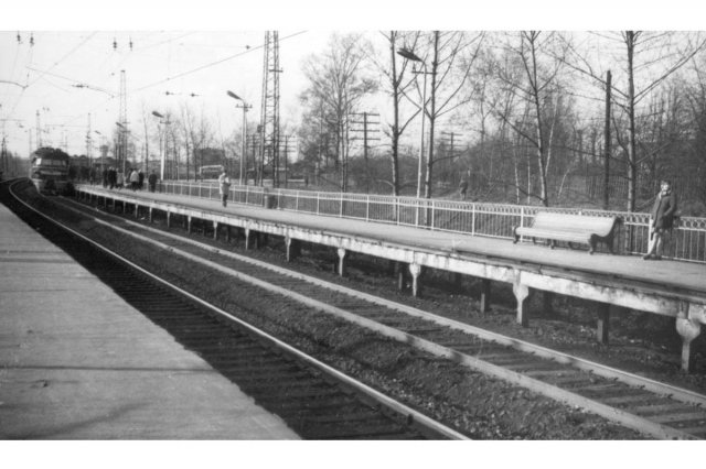 ��.1977 - �� ��������� "�������"