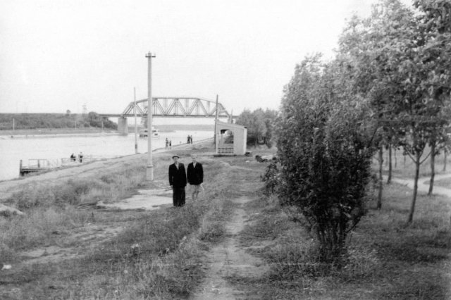 ��.1956 - � �������� "�������"