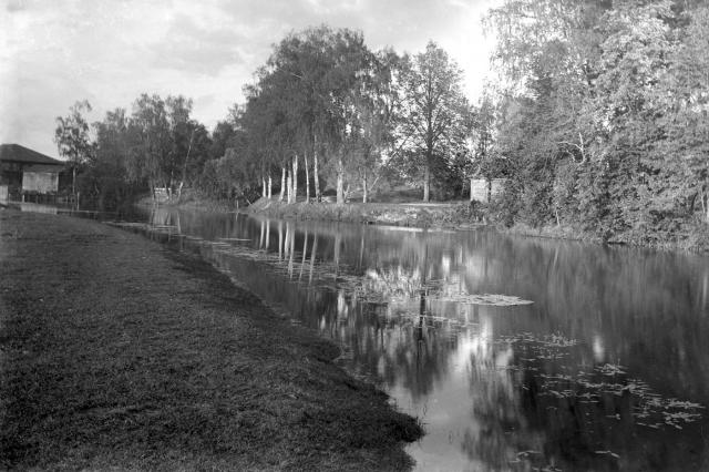 1914 - � "��������� ����" �� �������