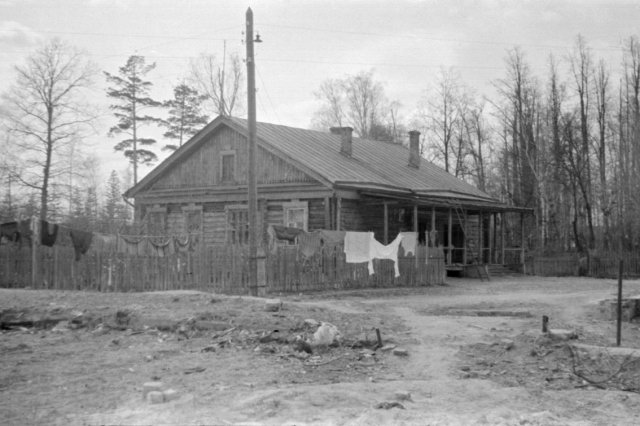 1960 - "��� ���������"
