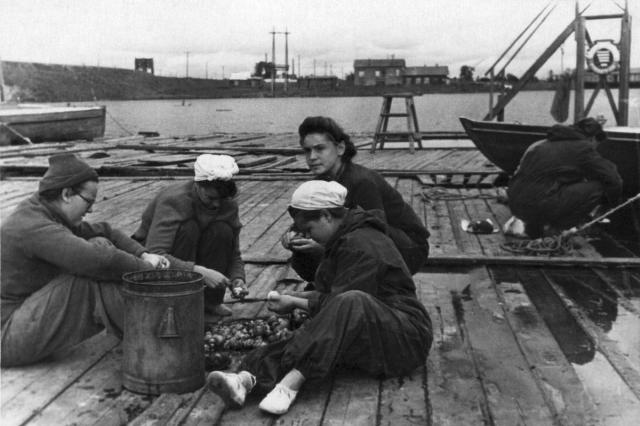 ��.1950 - ������������ �������������, ���-���� "�������"