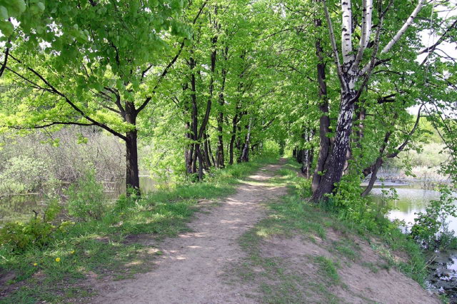 30.05.2004 - ������, ������� � �������� "�������"