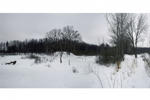 02.01.2006 - �� ������ - ���� �� ���� ����� "��������"