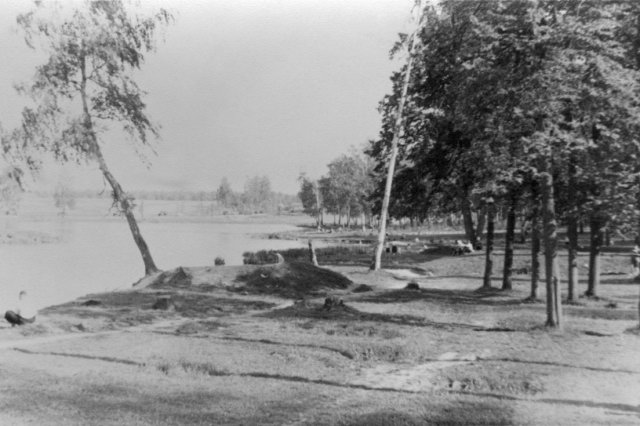 ��.1959 - ������ �����