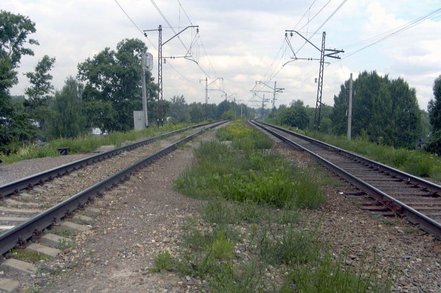 25.06.2003 - ��� � ������� ���������������