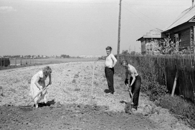 1963 - ����������