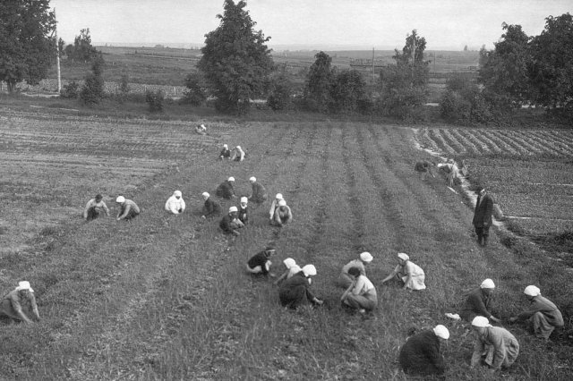 1933 - ��������� �� ������������ ������� ���� (���)