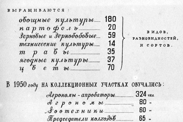 1950 - �������� ������� "���������� ��� ��������"