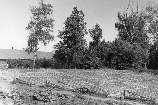 1950 - ������� - �������� �������