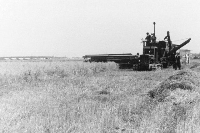 1950 - ������ � ������� ��������� "���� ��������"
