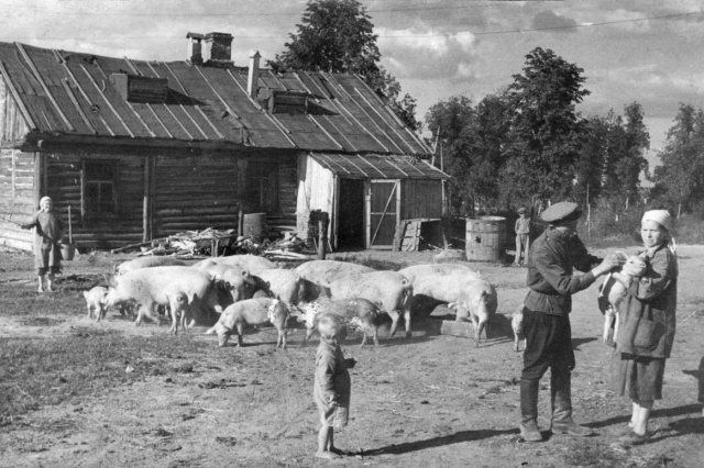 1950-� - ���������� �������� ��������� "��� ��������"