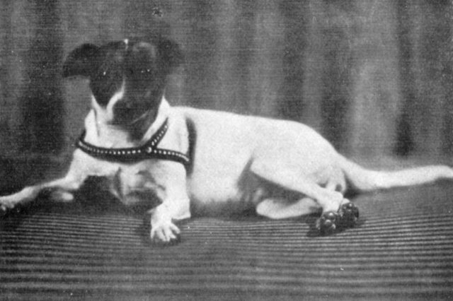 ��.1927 - ������ (Titina) - ������ ������� ������